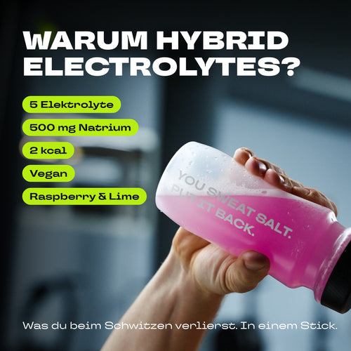 Hybrid Electrolytes (30 STICKS)